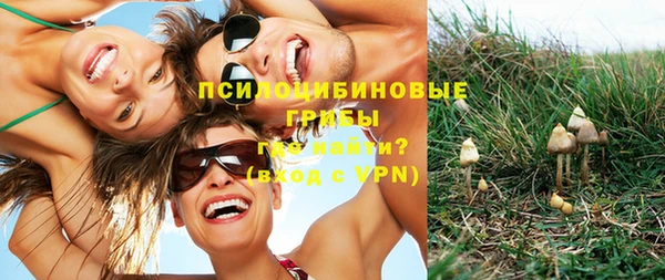 соль курить ск Богданович
