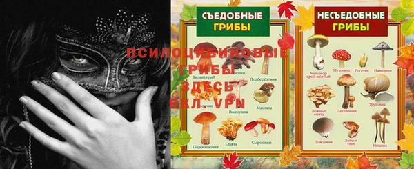метадон Богородицк