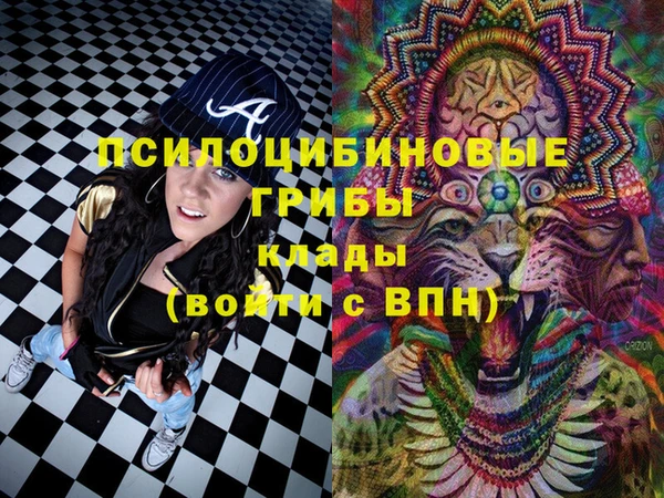соль курить ск Богданович