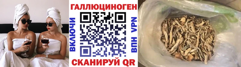 Псилоцибиновые грибы мицелий Коркино